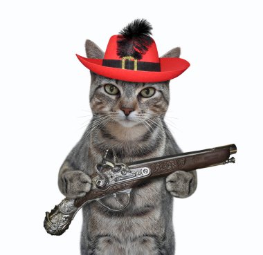 Tüylü kırmızı şapkalı gri bir kedi bir çakmaklı tabanca tutuyor. Beyaz arka plan. İzole edilmiş.