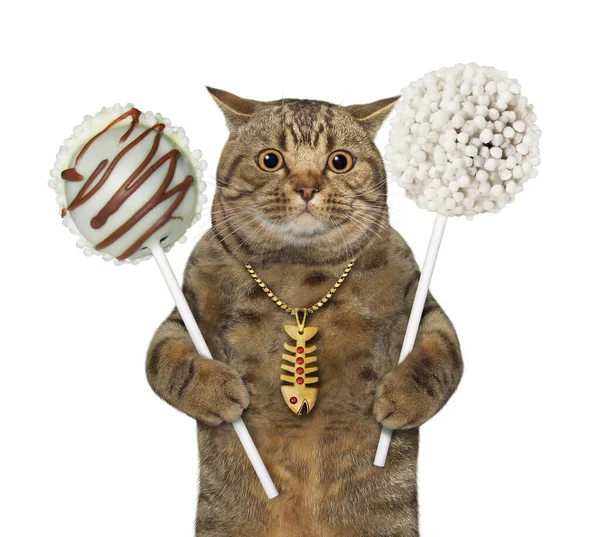 Eine Beige Katze Hält Zwei Große Cake Pops Der Hand — Stockfoto