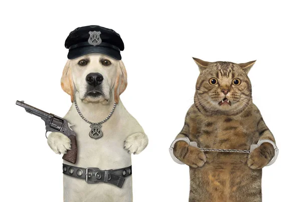 銃を持った犬警官が猫の犯罪者を逮捕している 白地だ — ストック写真