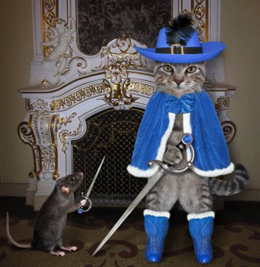Mavi silahşör kostümlü, kılıçlı gri bir kedi kalenin şöminesinde duruyor..