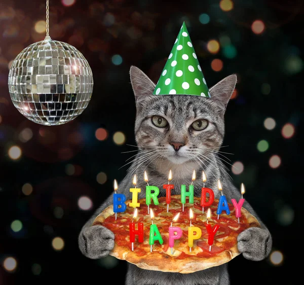 Gray Cat Party Hat Holds Birthday Pizza Burning Candles Mirror — Stock Photo, Image