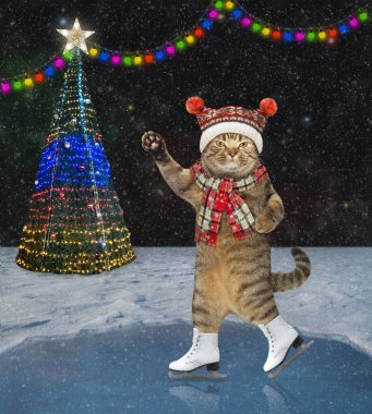 Örgü eşarplı bej bir kedi ve şapka Noel için buz pateni pistinde kayıyor..