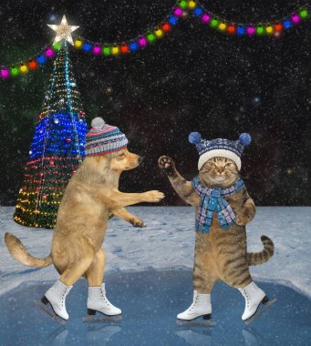 Örgü atkısı ve şapkası olan kedi labradoru bej bir köpek Noel için buz pateni pistinde kayıyor..