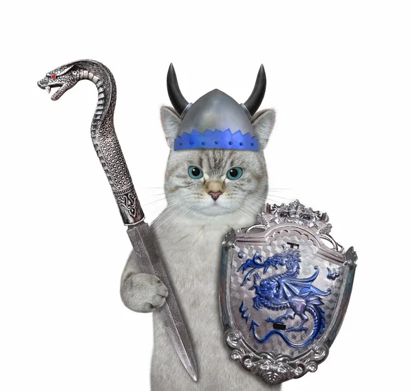 Ashen Cat Warrior Horned Helmet Shield Battle Sword White Background — Stock Photo, Image