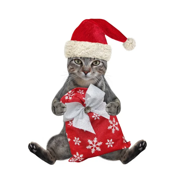 Kırmızı Noel Baba Şapkalı Gri Bir Kedi Noel Torbasıyla Oturur — Stok fotoğraf