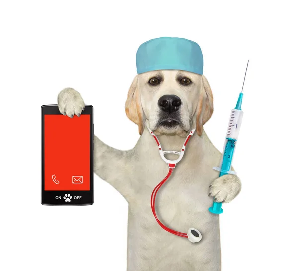 Pes Labrador Lékař Lékařském Klobouku Stetoskopem Drží Stříkačku Smartphone Bílé — Stock fotografie