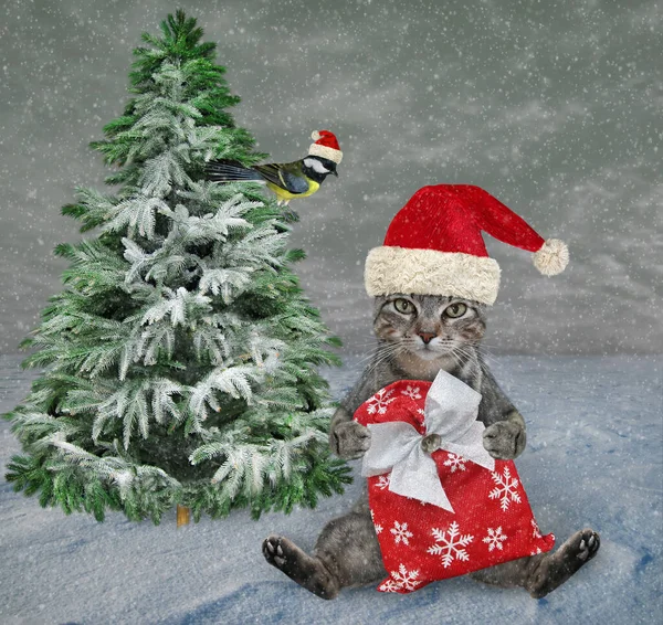 Šedá Kočka Červeném Klobouku Santa Clause Sedí Vánočním Pytlem Sněhu — Stock fotografie