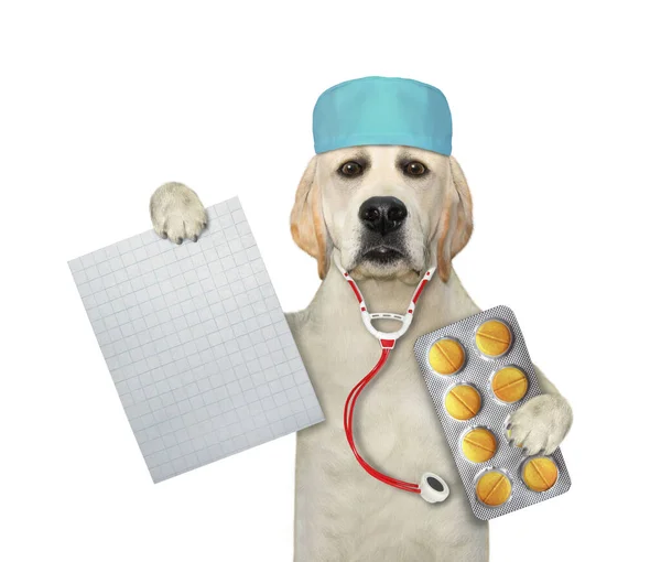 Pes Labrador Lékař Lékařském Klobouku Stetoskopem Drží Prázdný Notepad Pilulku — Stock fotografie