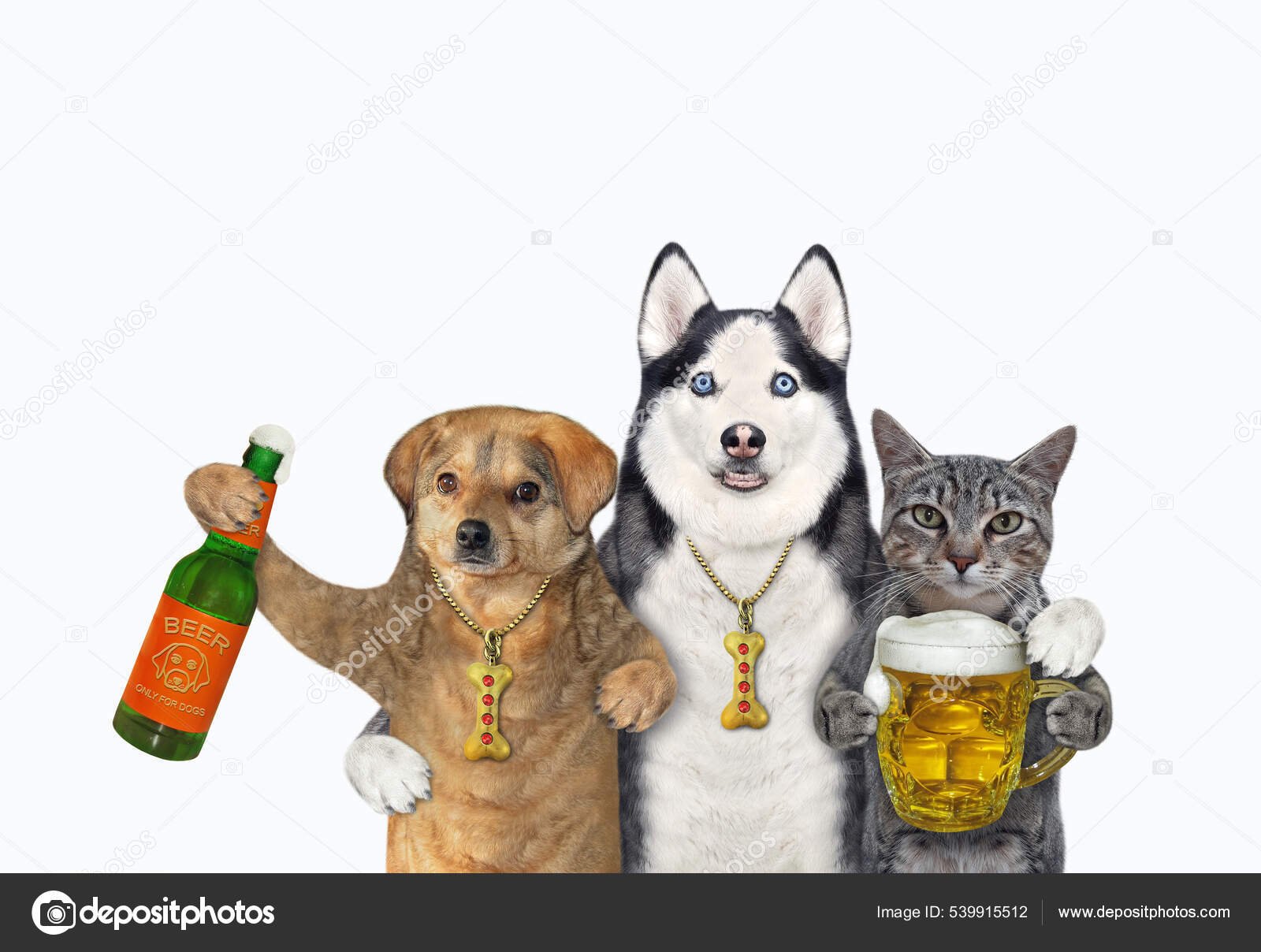 Puppies Drinking Beer