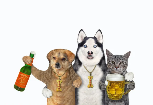 Two Dogs Gray Cat Drinking Beer Beer Together White Background — стоковое фото