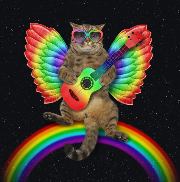 Beige Cat Sunglasses Color Wings Sits Rainbow Plays Guitar Night — Stock Fotó