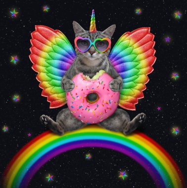 Güneş gözlüklü, renkli kanatlı gri bir caticorn gökkuşağına oturur ve geceleri pembe bir çörek yer..