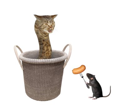 Bir bej kedi yılanı, saplı bir örgü sepetinin içinde. Yanında sosisli siyah bir fare var. Beyaz arka plan. İzole edilmiş.