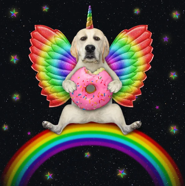 Dogicorn Labrador Color Wings Sits Rainbow Eats Pink Donut Night — стоковое фото