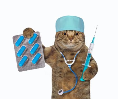 Elinde bir şırınga ve mavi hap paketi olan, tıbbi şapkalı bej bir kedi doktoru. Beyaz arka plan. İzole edilmiş.
