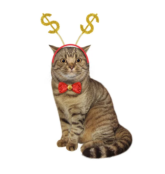 Beige Cat Dollar Headband Sits White Background Isolated — Stockfoto