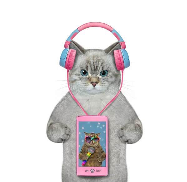 Ashen Cat Listens Music Pink Smartphone White Background Isolated — Photo