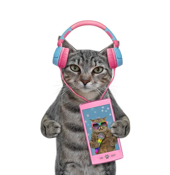 Gray Cat Listens Music Pink Smartphone White Background Isolated — Foto de Stock