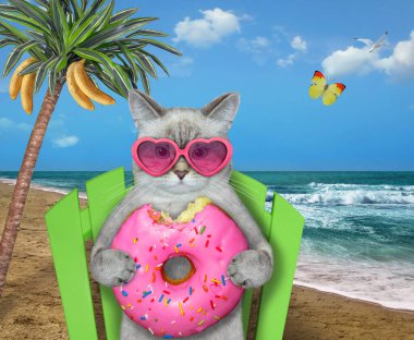 An ashen cat in sunglasses on a beach chair under a palm tree eats a pink donut by the sea.