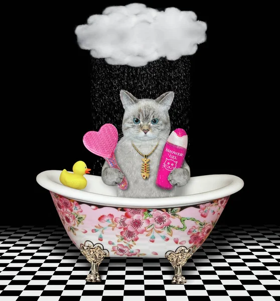 Ashen Cat Pink Heart Shaped Hairbrush Shampoo Stylish Bath Cloud — Stock Photo, Image