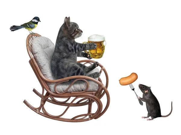 Gato Cinza Com Uma Caneca Cerveja Está Uma Cadeira Balanço — Fotografia de Stock