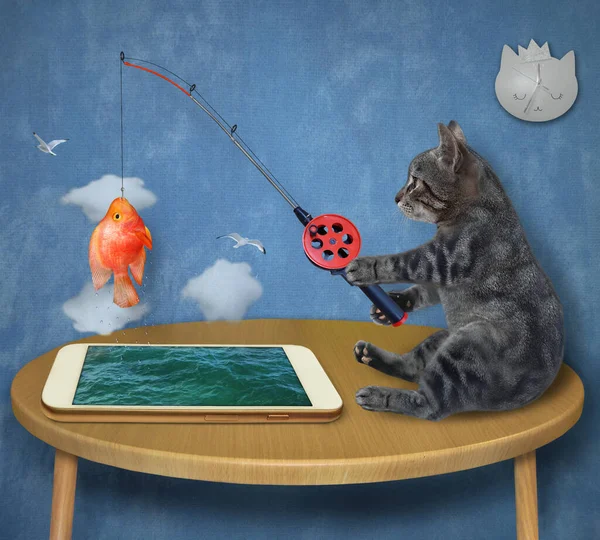 Eine Graue Katze Fing Hause Einen Goldfisch Vom Smartphone — Stockfoto