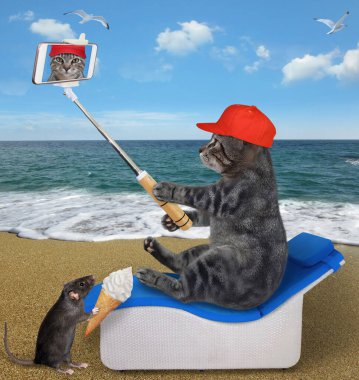 Kırmızı şapkalı, akıllı telefonlu gri bir kedi güneşli bir yatakta oturur ve deniz kenarında selfie çeker..