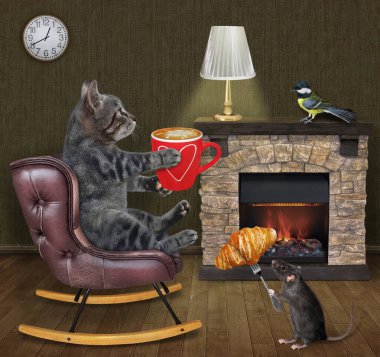 Gri bir kedi ve bir fincan kahve evde deri bir sallanan sandalyede.. 