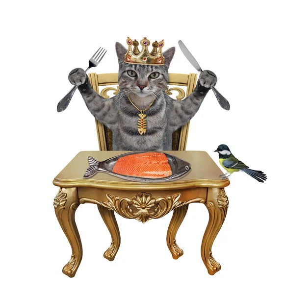 Bıçaklı Çatallı Gri Bir Kral Masada Somon Yiyor Beyaz Arka — Stok fotoğraf