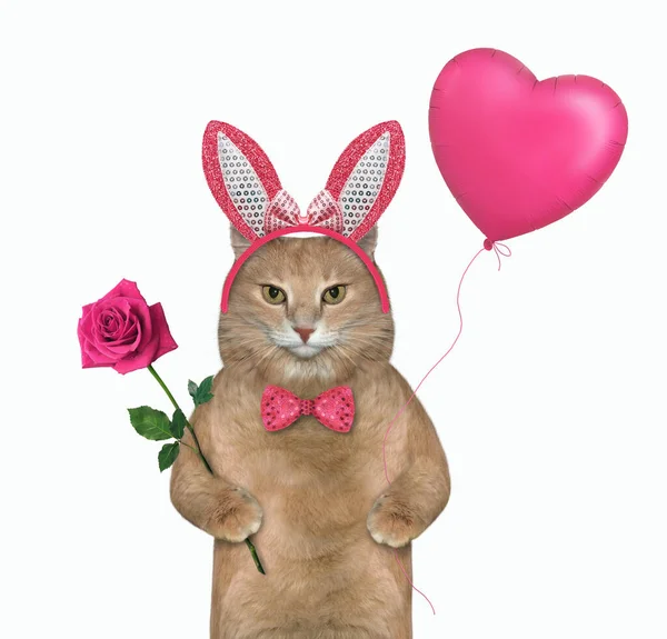 Reddish Cat Pink Easter Bunny Ears Red Rose Heart Shaped — Stock Photo, Image