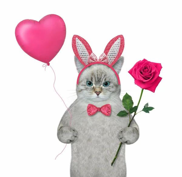 Ashen Cat Pink Easter Bunny Ears Red Rose Heart Shaped — Stock Photo, Image
