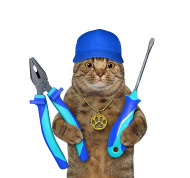 Mavi şapkalı bej bir kedi bir kerpeten ve bir tornavida tutuyor. Beyaz arka plan. İzole edilmiş.