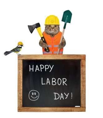 İnşaat miğferinde baltası ve küreği olan bej bir kedi tahtanın yanında. Beyaz arka plan. İzole edilmiş.