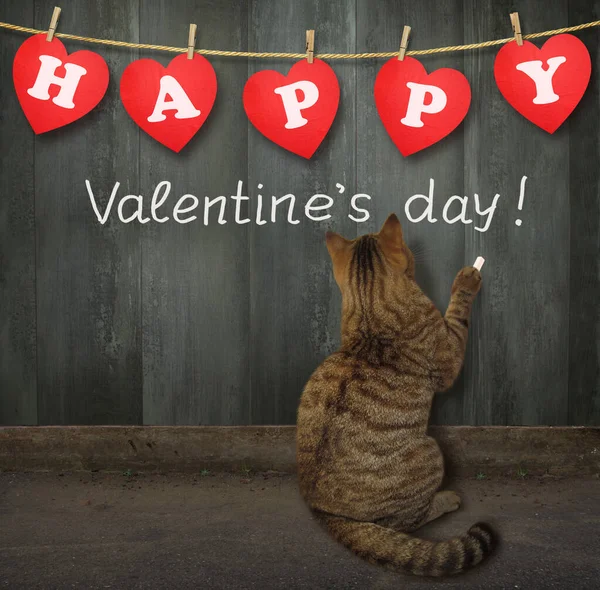 ベージュの猫が木の柵の上でハッピーバレンタインデーを書きます — ストック写真