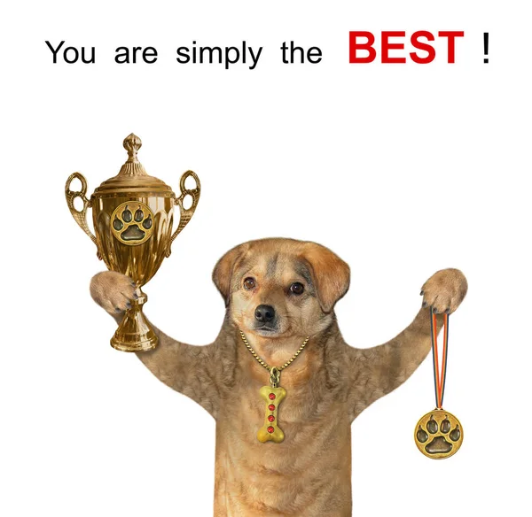 Beige Hund Har Guldkopp Och Medalj Helt Enkelt Bäst Vit — Stockfoto