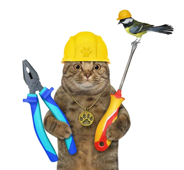 Gato Bege Capacete Construção Amarelo Segura Alicate Uma Chave Fenda — Fotografia de Stock