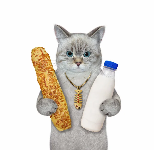 Gato Ceniza Sostiene Bollo Queso Una Botella Leche Fondo Blanco — Foto de Stock