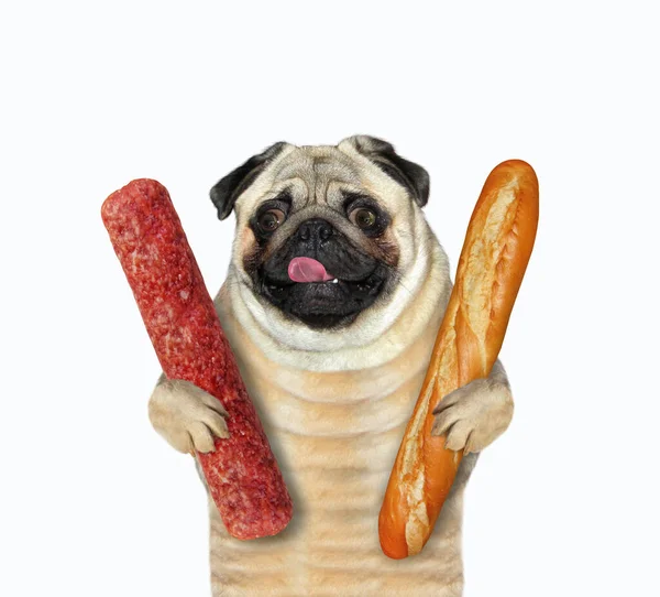 Ένα Σκυλόσκυλο Κρατάει Ένα Αποξηραμένο Λουκάνικο Και Ένα Καρβέλι Ψωμί — Φωτογραφία Αρχείου
