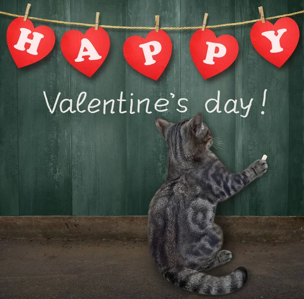 灰色の猫が木の柵の上でハッピーバレンタインデーを書きます — ストック写真