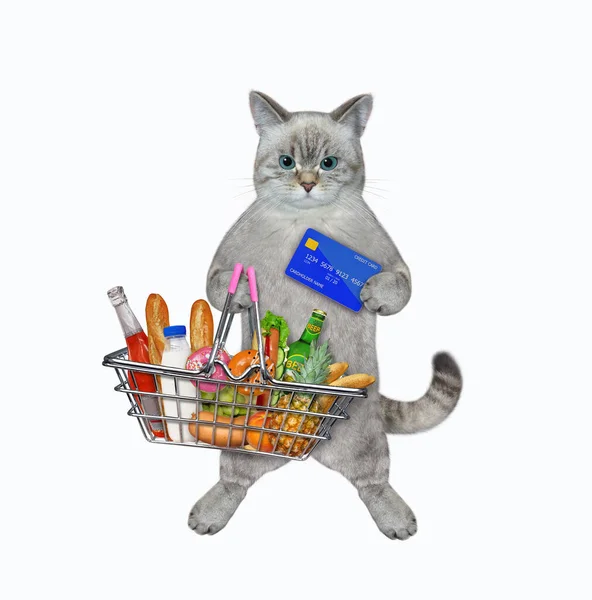 Gato Ceniza Tiene Una Tarjeta Crédito Una Cesta Compras Metal — Foto de Stock