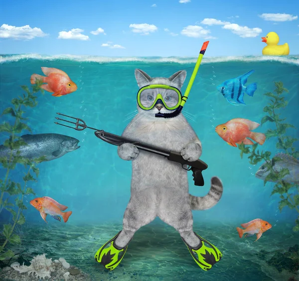 An ashen cat underwater hunter in a mask, a snorkel and flippers with a speargun is on the seabed.