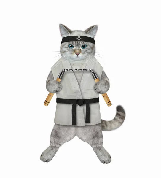Ashen Katt Karate Idrottsman Kimono Med Nunchucks Tränar Vit Bakgrund — Stockfoto