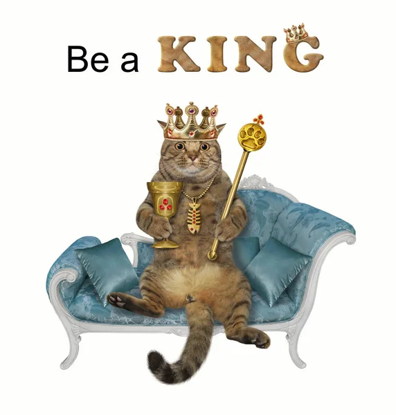 Seekor Kucing Berwarna Krem Dengan Mahkota Emas Dengan Tongkat Kerajaan — Stok Foto