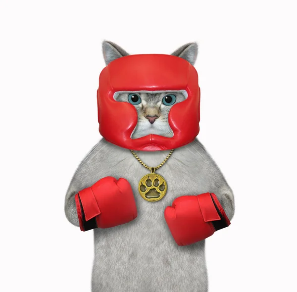 金色のメダルを持つ猫のアスリートは 赤いボクシングの制服を着ていました 白地だ — ストック写真