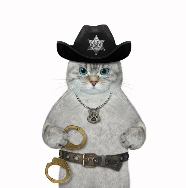 모자를 배지를 고양이 수갑을 고립됨 — 스톡 사진