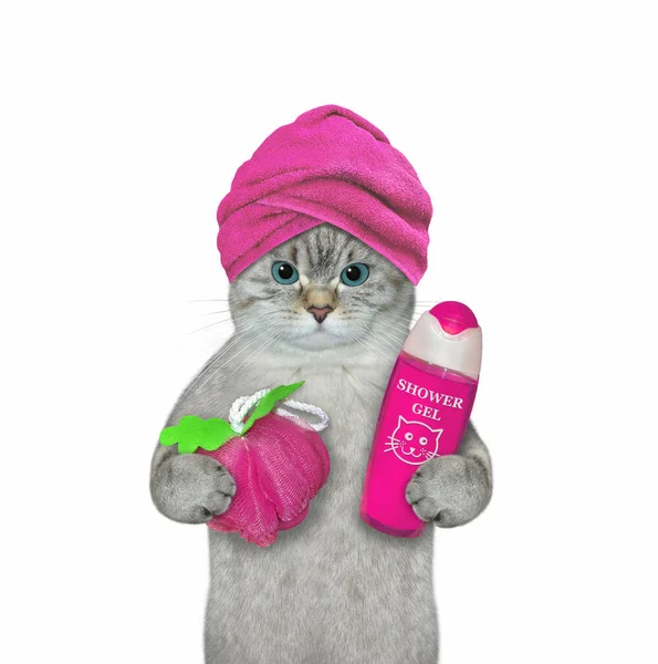 Μια Γάτα Μια Ροζ Πετσέτα Γύρω Από Κεφάλι Του Κρατά — Φωτογραφία Αρχείου