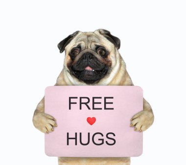 Köpek pug 'un elinde pembe bir poster var, üzerinde bedava sarılma yazıyor. Beyaz arka plan. İzole edilmiş.