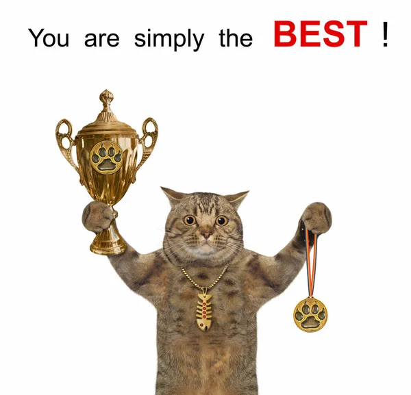 Μια Μπεζ Γάτα Κρατάει Ένα Χρυσό Κύπελλο Και Ένα Μετάλλιο — Φωτογραφία Αρχείου