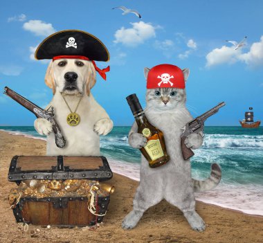 Bir kül kedisi ve bir köpek labrador deniz kıyısında hazine dolu bir korsan sandığının yanındalar..