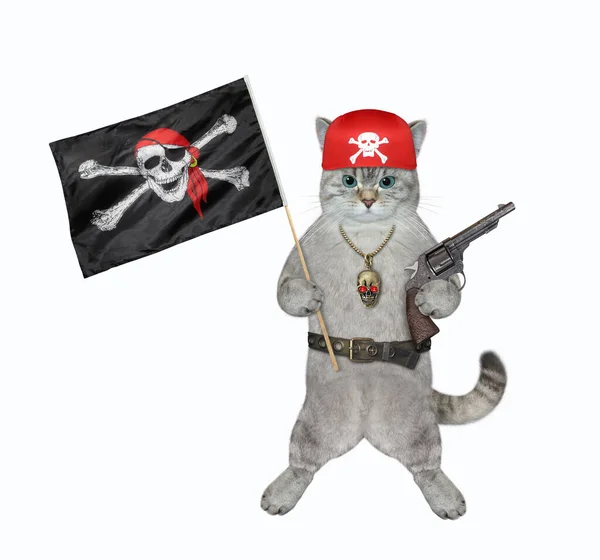 灰蒙蒙的猫海盗拿着一面黑旗 上面挂着快乐的罗杰和手枪 白色背景 被隔离了 — 图库照片